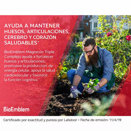 Magnesio Triple Complex